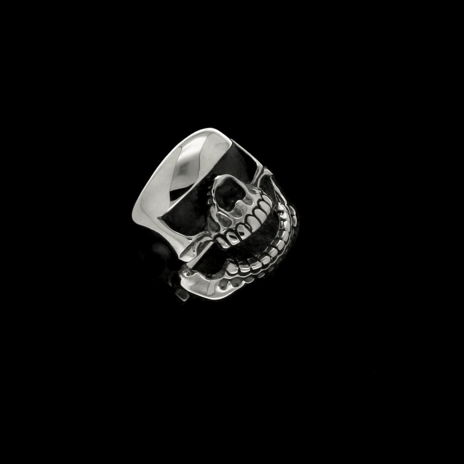 RAIDER