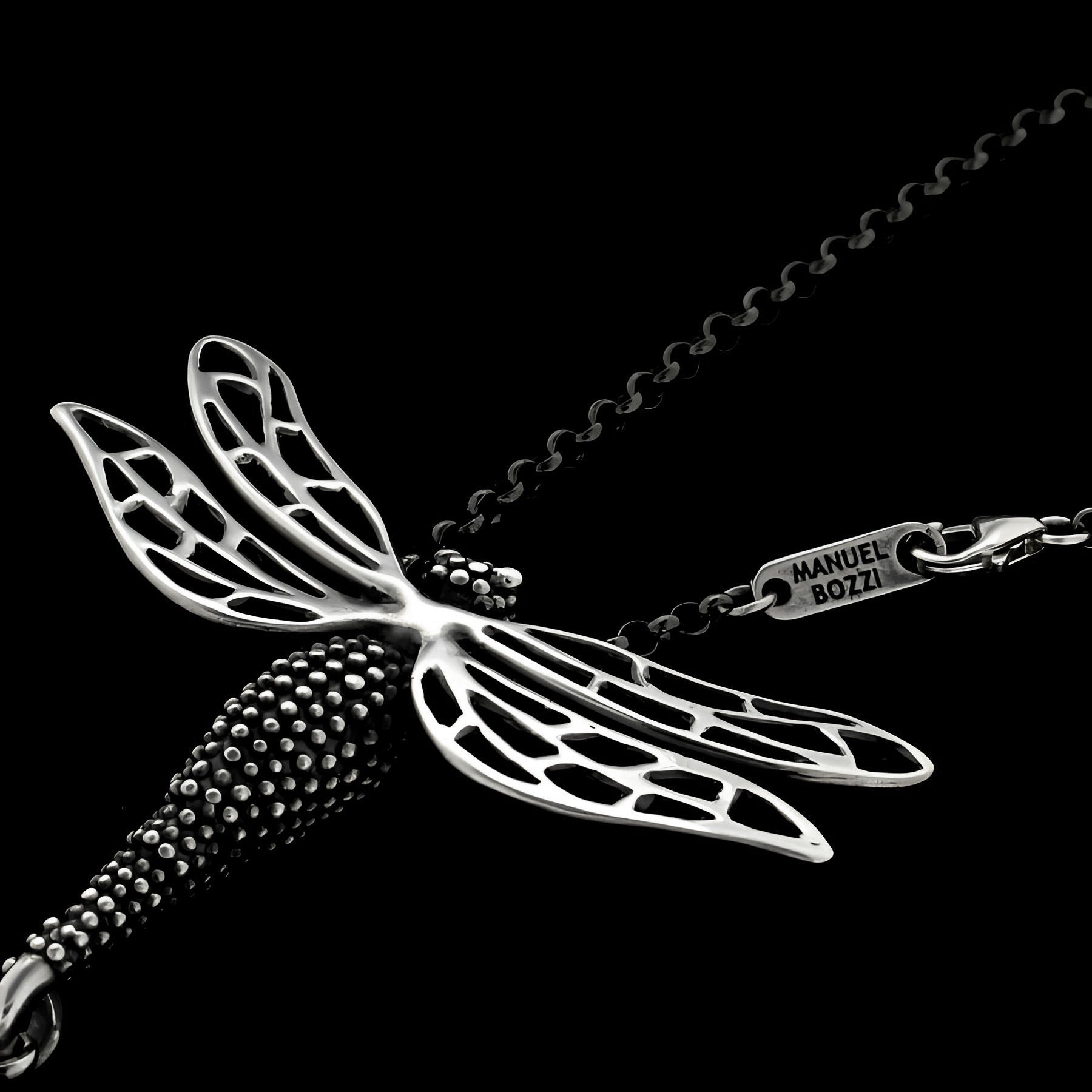 LIBELLULA CON ONICE