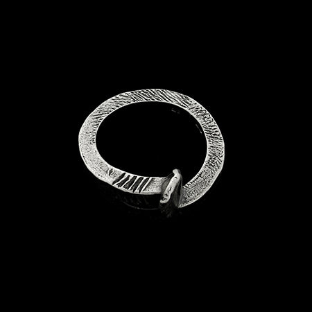 IL CHIODO BRILLANTE