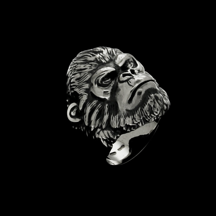 GORILLA SILVERBACK