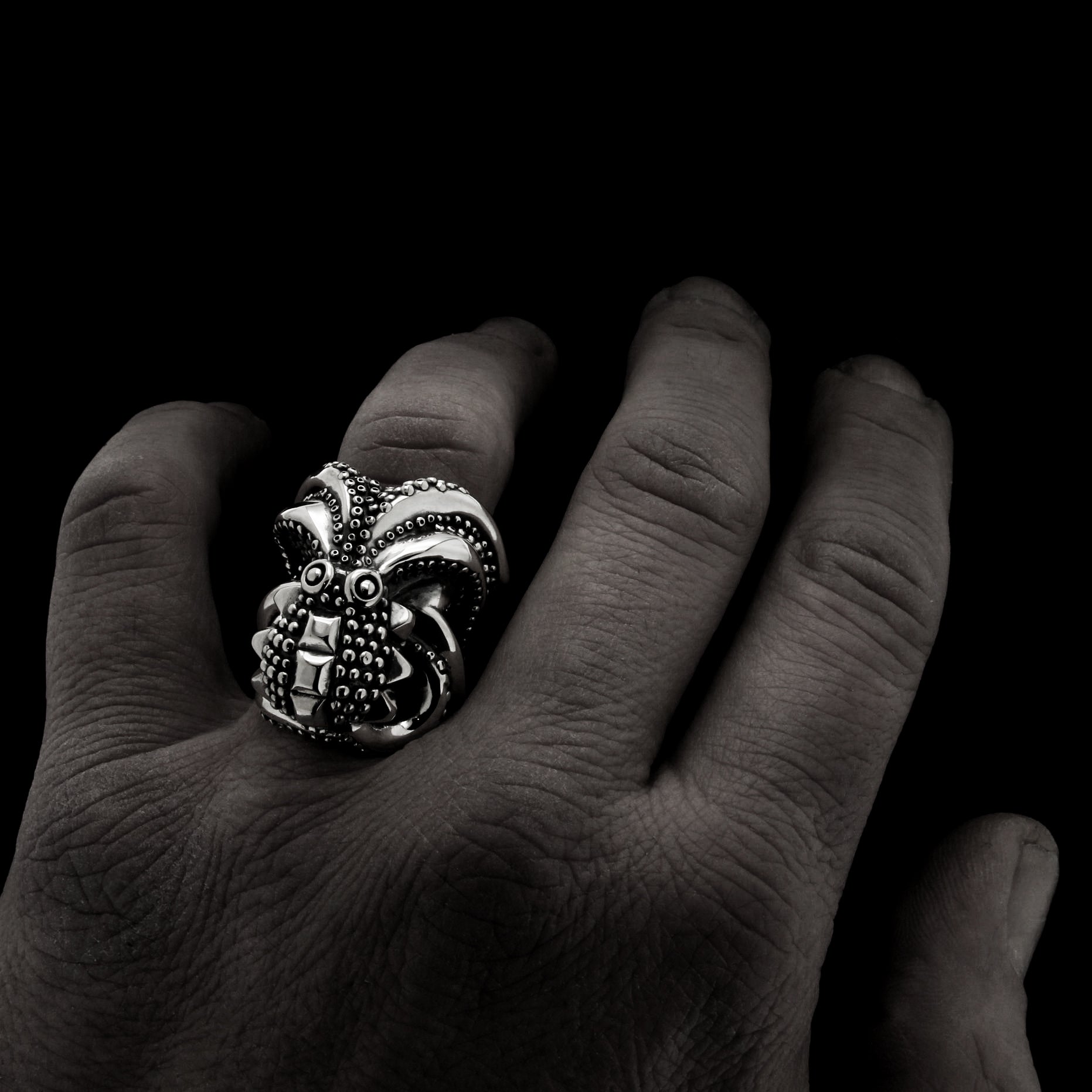 THE GREAT OCTOPUS