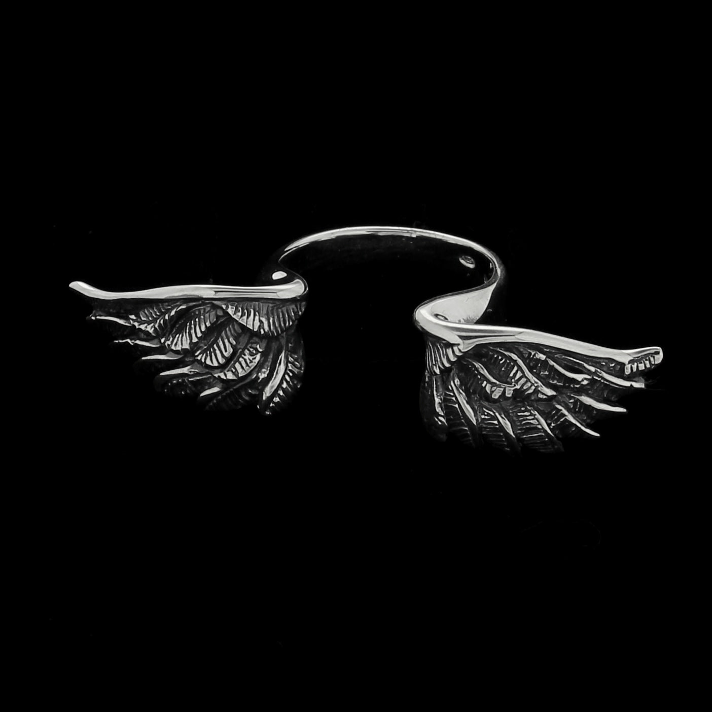OPEN WINGS