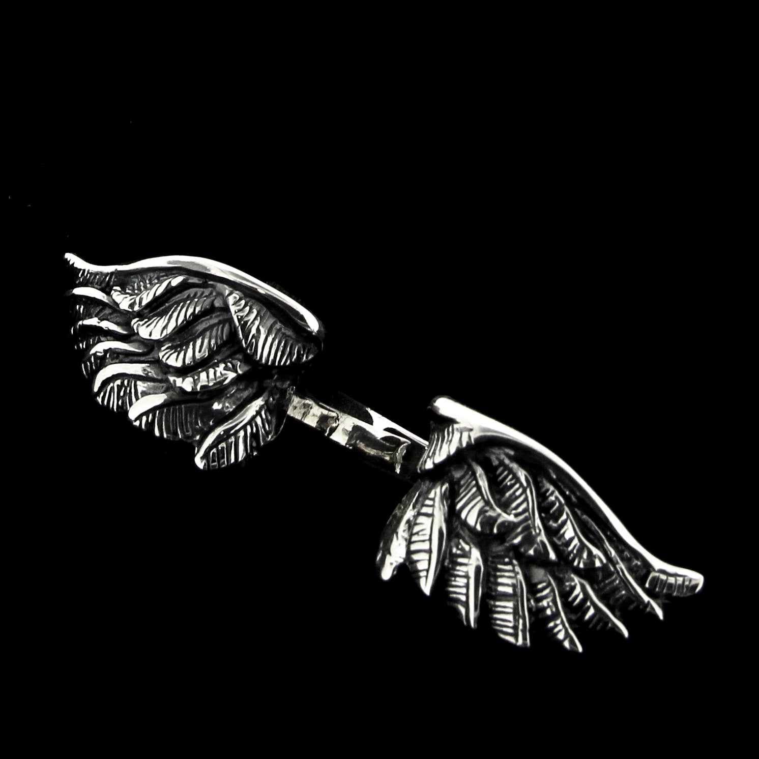OPEN WINGS