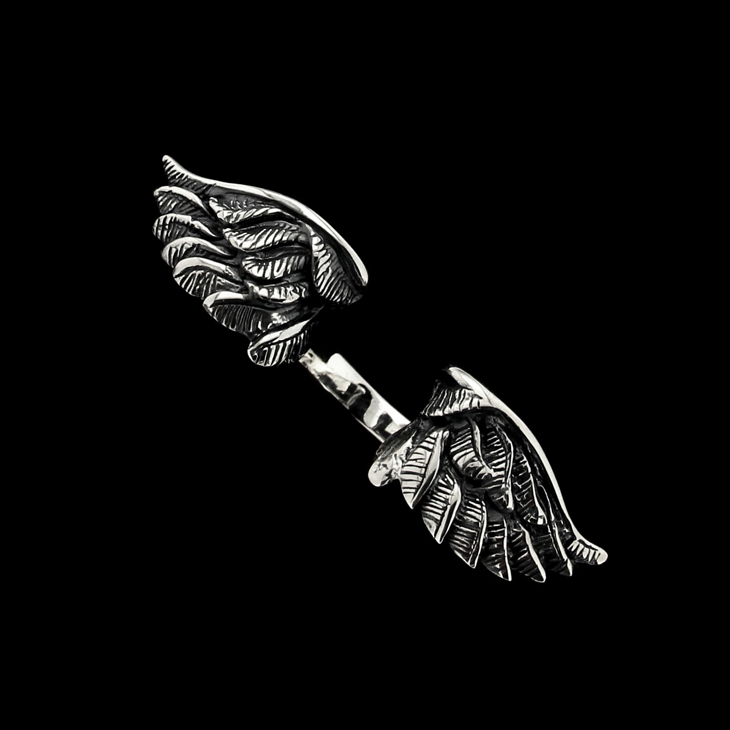 OPEN WINGS